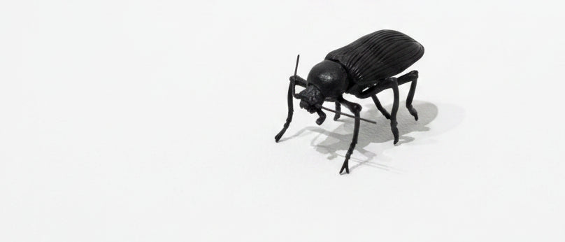 Haruo Mitsuda Jizai Okimono Ground Beetle 銅、真鍮、青銅 / Copper, Brass, Bronze