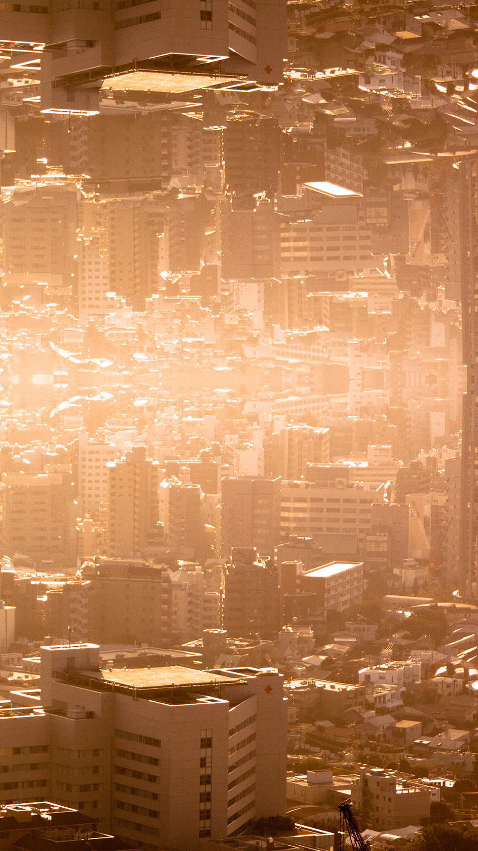 roidworksgallery 古賀勇人「world is not world 1027-2」 写真、印画紙、アクリルパネル / Photography, photographic paper, acrylic panel