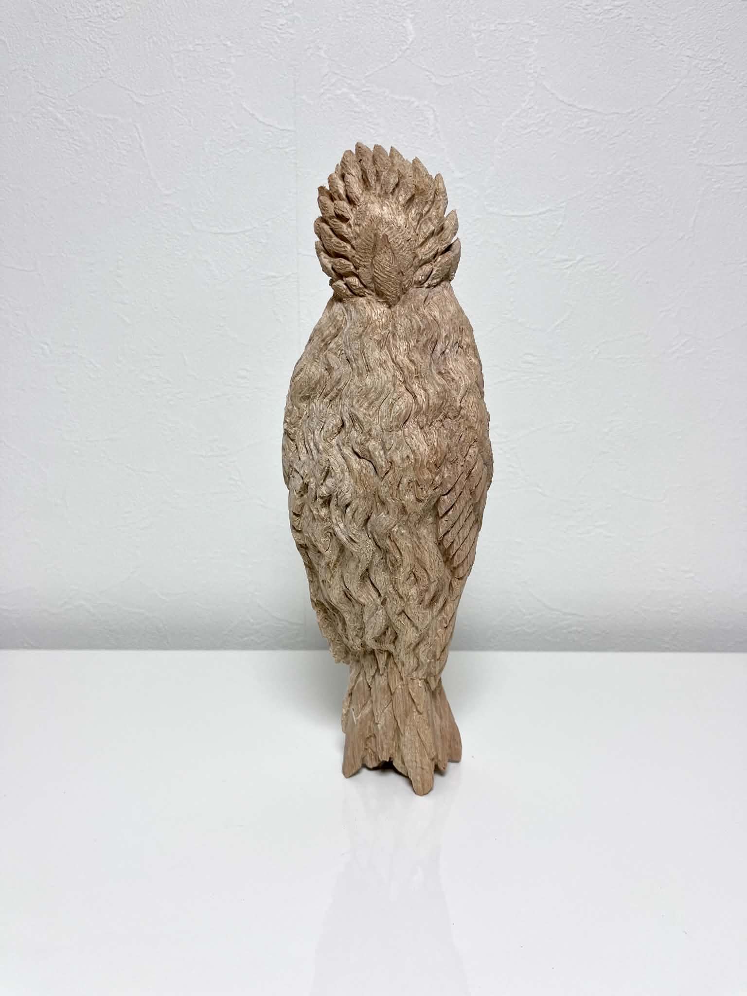 永島信也「feather」楠 詳細