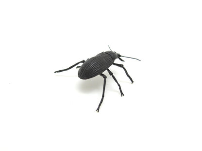 Haruo Mitsuda Jizai Okimono Ground Beetle 銅、真鍮、青銅 / Copper, Brass, Bronze
